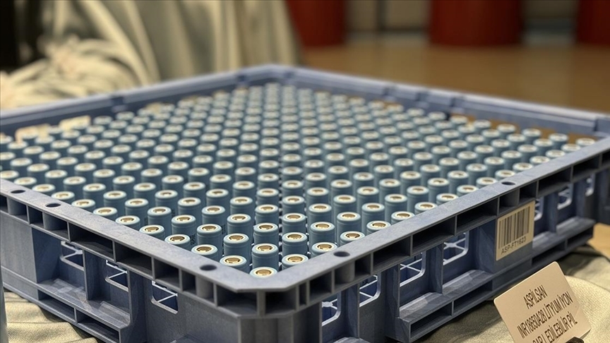 thumbs b c 0cf6b996efb5d02a0d3879540d8b00ea