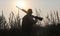 thumbs b c 1162de3c3ed12d3280954fc96b2f2b50