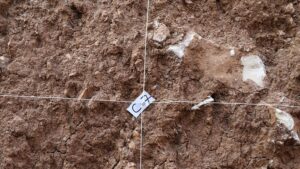 thumbs b c 364562af8ce619841b147db22765f4e9