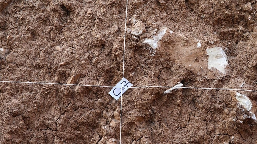 thumbs b c 364562af8ce619841b147db22765f4e9