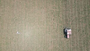 thumbs b c 41cd4fa71d58d583303818d1fc5b239f