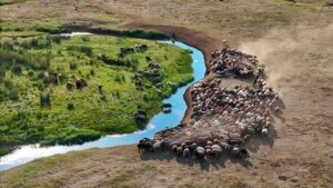 thumbs b c 566c89c09bb8820b82ca34813ec54930