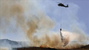 thumbs b c 6c7c88778326ce4611292cc72d3883f4