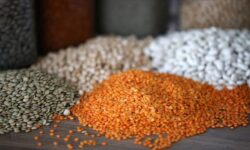 thumbs b c 6e13f9ff21b3abd2f58d9bdf42acdfe6