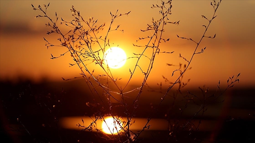 thumbs b c 6f9be6421585d350d4b8fe270dd502bb