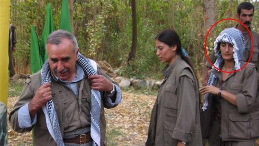 thumbs b c ac3dcfe3038ed2ad8e59114721e55e6d