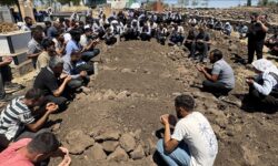 thumbs b c ac547f41c40cb283431da2b8b1162975