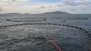 thumbs b c be6a776ed905951216576644a355004c