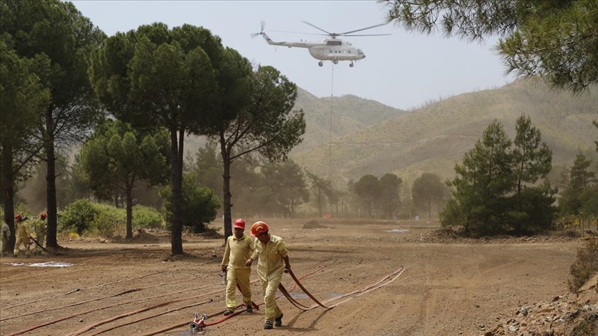 thumbs b c de478a977fe1fc21a465eb6b2a6fc1dd