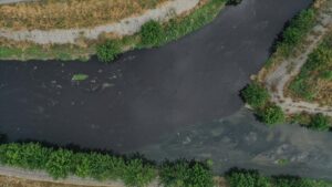 thumbs b c f3eefb850b56c0a578cafb31896e9477