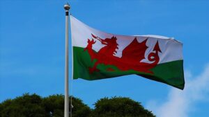 thumbs b c f8b01ad20309d076f42eecd90cdfdeca