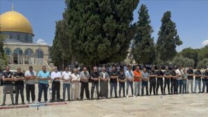 thumbs b c f8e60ca4b629b625b1a597b50e394ccf