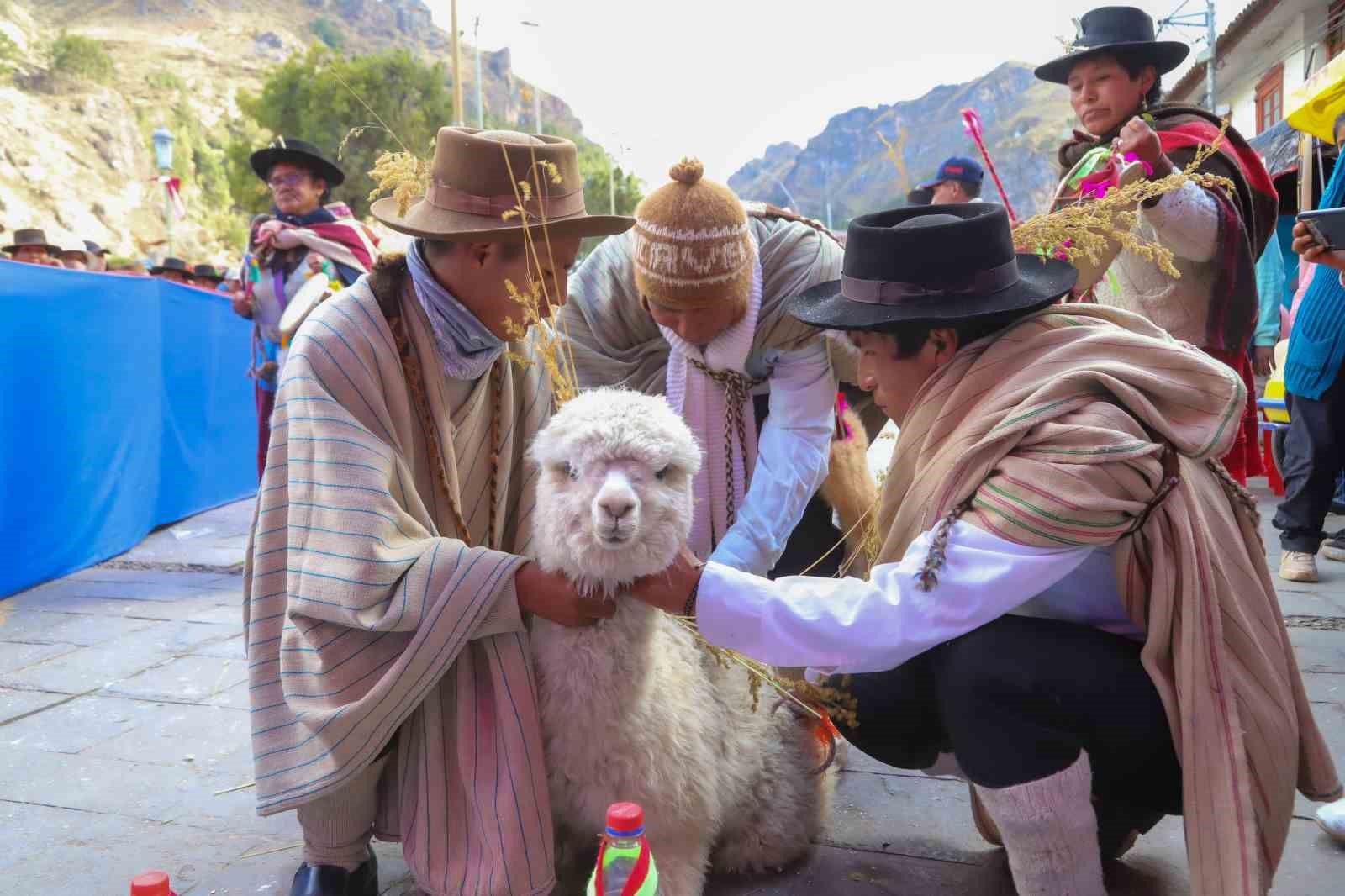 tika alpaka peru