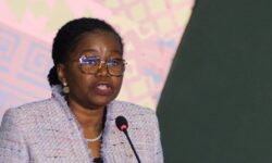 togo baskani