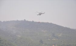 usak orman yangini