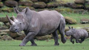 13869640 355 680 2824 1590