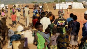 16429311 0 156 5148 2900