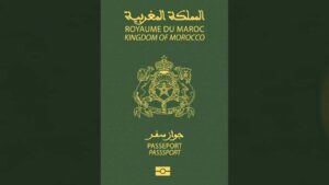 33da8ad3a9aeb5c67209178711a754a8