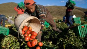 364eeeba1fbea1eaa6f3a2b8b23de96a