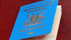 650f6f58a1b1e87fc88bb3f6858c3264