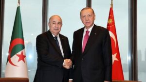 7917747484c92134776ecadd719b7811