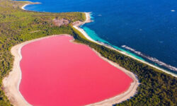 DEST AUSTRALIA LAKE HILLIER PINK LAKE GettyImages