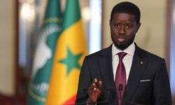 Faye senegal