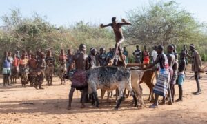 Hamar KabIlesI ve BoGa Atlama Ritueli