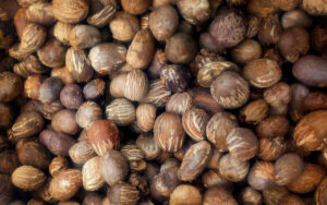 amandes de karite burkina faso 61e07