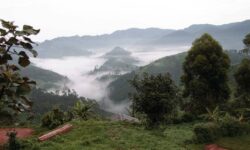 bwindi