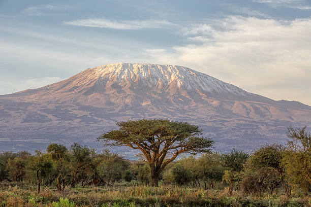 kilimanjaro2