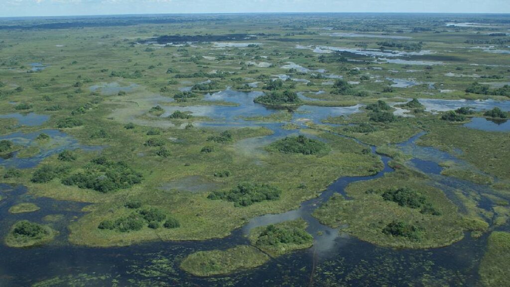 okavango deltasi
