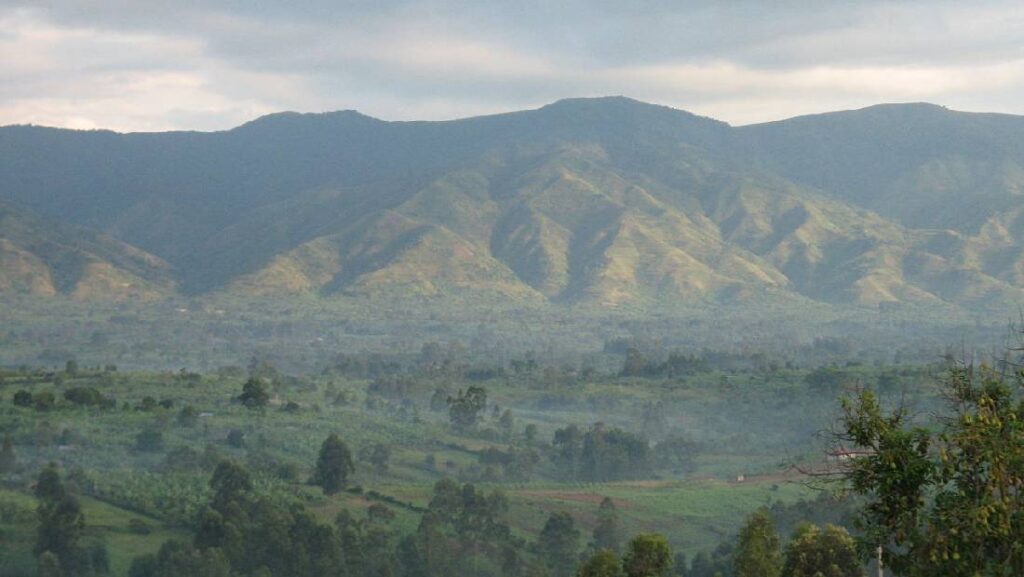 rwenzori