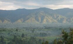 rwenzori