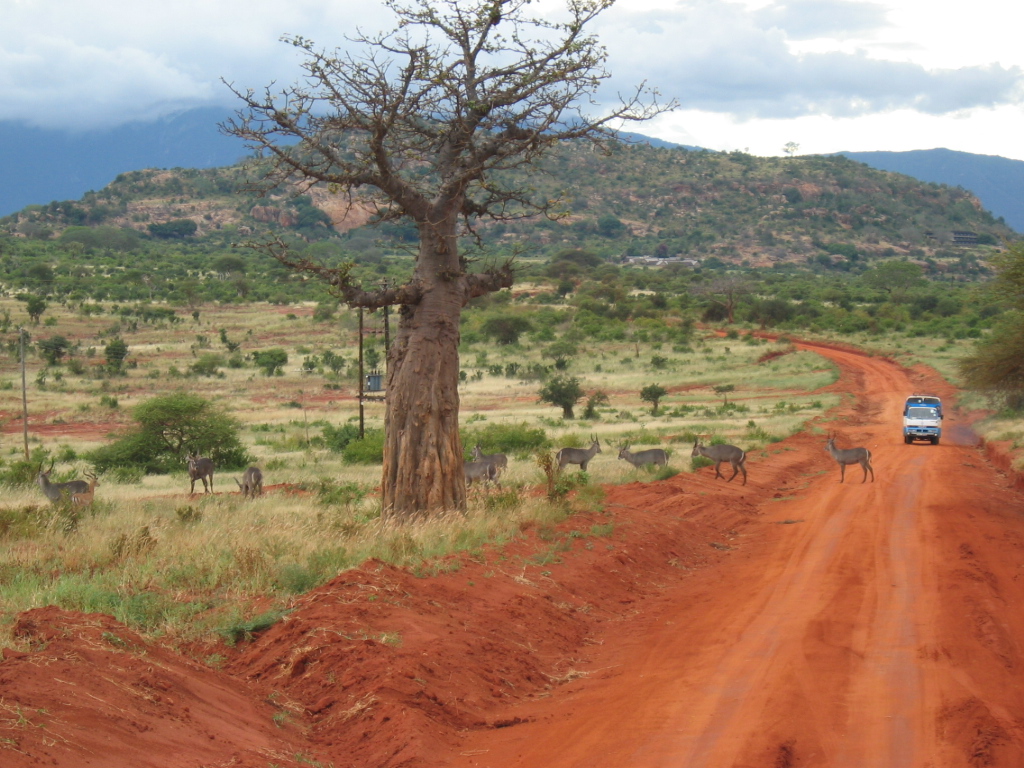 tsavo1