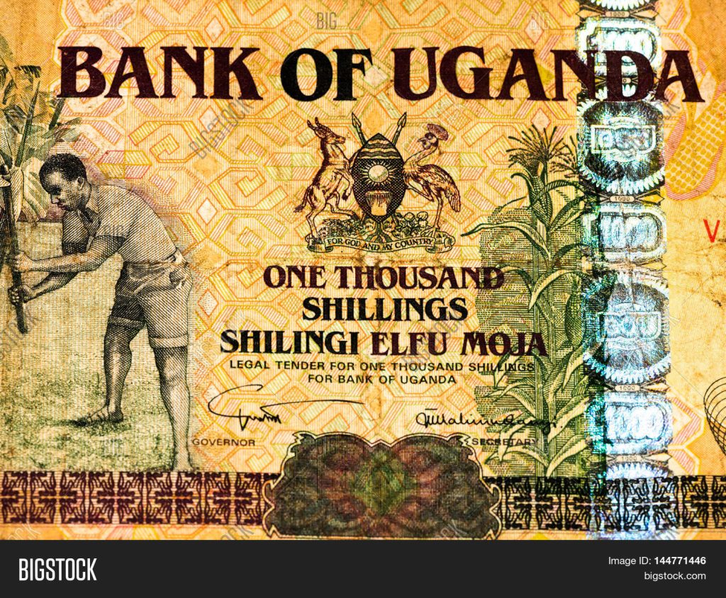 144771446 1024x844 1