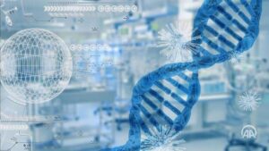 16143484 0 0 862 486