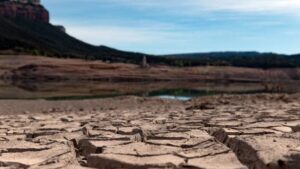 16415767 0 304 4232 2383