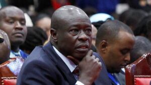 17044641 51 98 1037 584