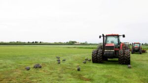 1806e87fae57cd7d6bc2f891d363f834