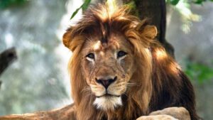 795665 0 52 2999 1688