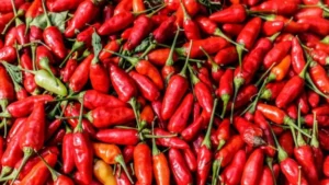 EFFACA82 0DA1 4869 8DA9 64F863424292