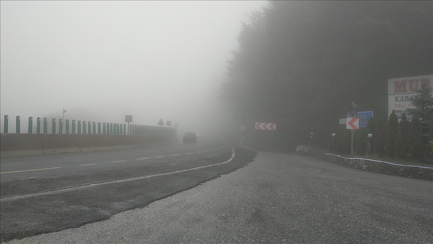 F8CFB792 455E 4023 B3FF 02D56CA7D608