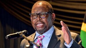 WhatsApp Image 2024 10 22 at 12.26.32 PM