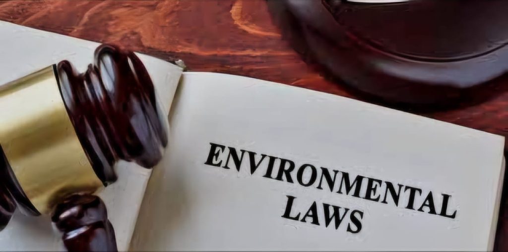 WhatsApp Image 2024 10 29 at 2.03.12 PM 1024x509 1