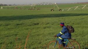 f81e4a9bd0b4093ae069c43968990c98