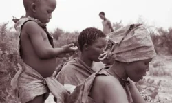 kalahari