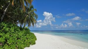 thumbs b c 48c9efded9cc7bb305e1cc0ee5f7dc37