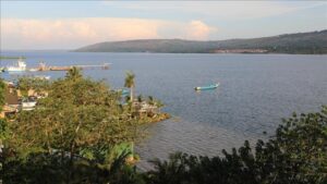 thumbs b c 88a605046aca7ee85cbb316b528e5ed9