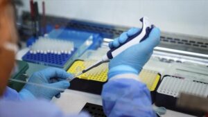 thumbs b c c42574d67bd3711687d01f627934a48c